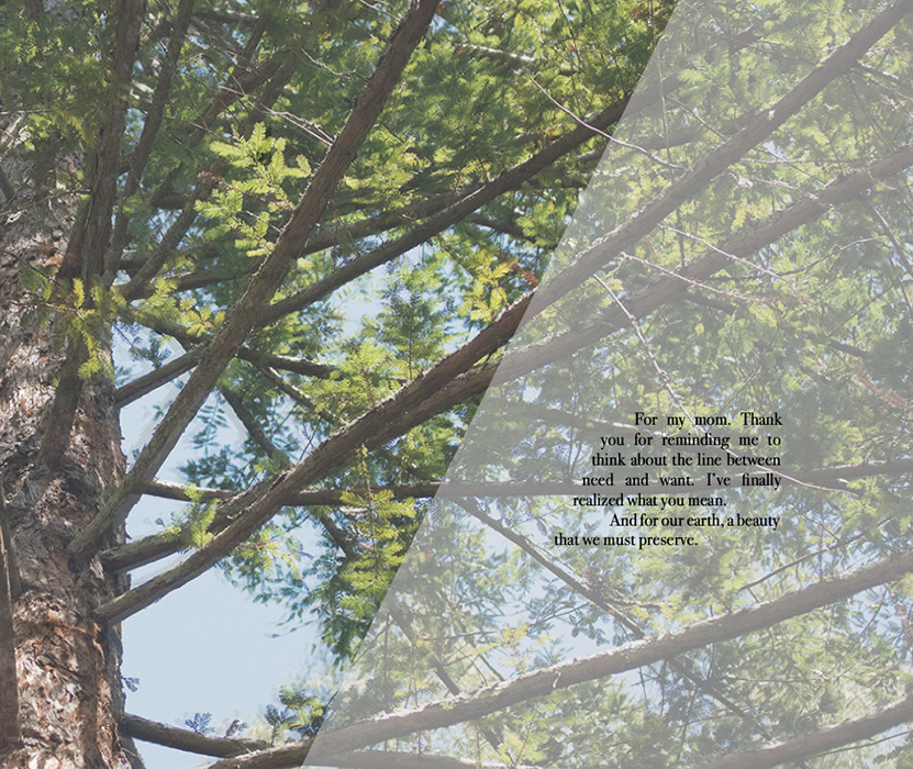 Book by Urna Bajracharya